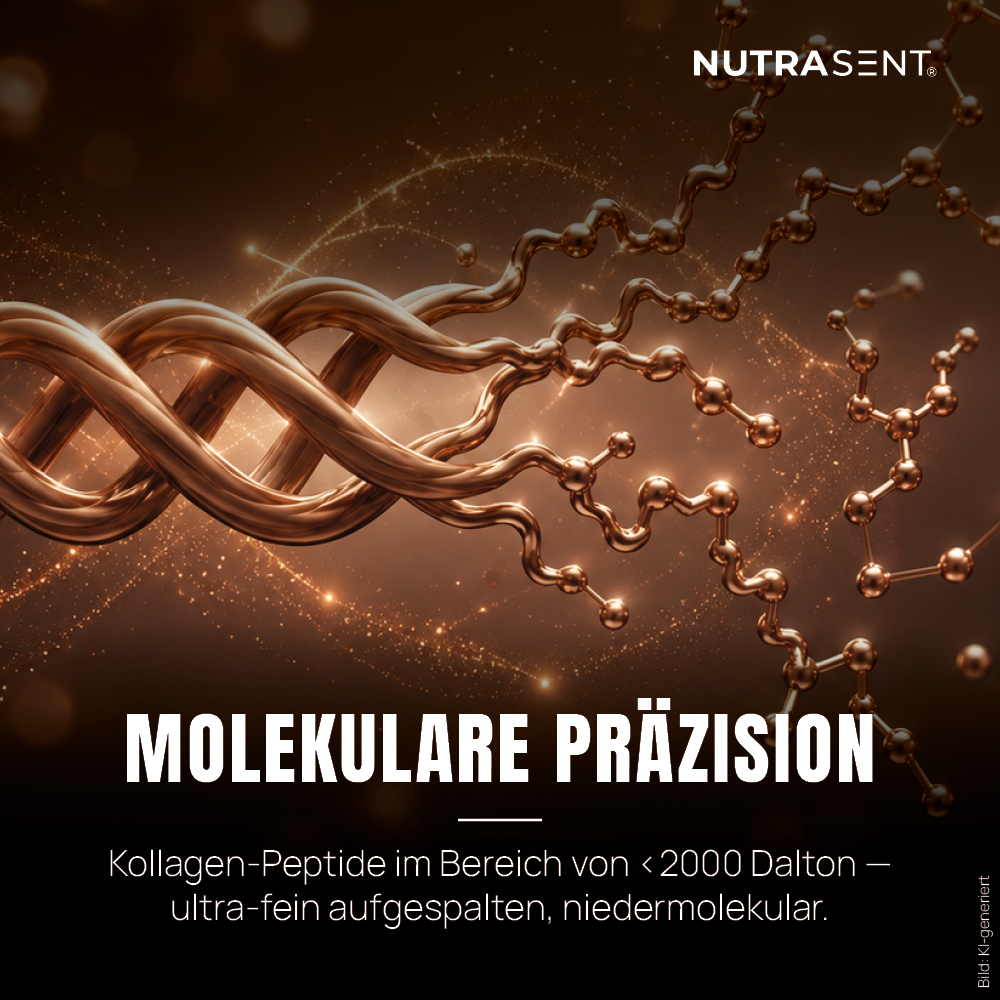 Kollagen + Premium Komplex