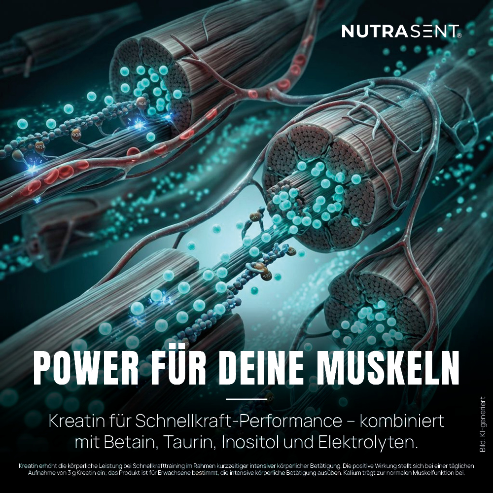 Kreatin + Premium Komplex